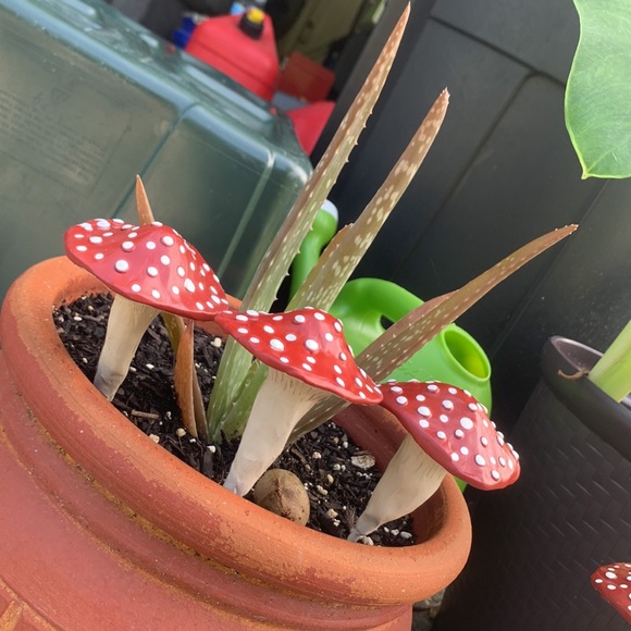 MUSHROOM ๐ Garden Stakes w/ SPOTS! Set of 3 - Picture 8 of 14